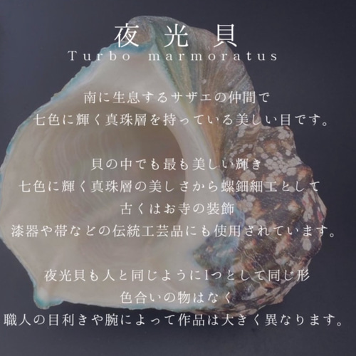 夜光貝 ∞の蛇 真珠層ver. ネックレス・ペンダント O.R 通販