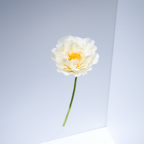 牡丹 ✿クレイフラワー （葉付き） NO.H18-2WL アートフラワー Nricias