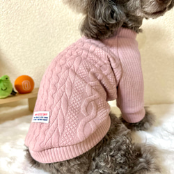 ⭐︎犬服⭐︎handmade ラグラン 2a8a36332c982305018d7a713f6de8