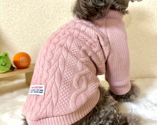 ⭐︎犬服⭐︎handmade ラグラン 2a8a36332c982305018d7a713f6de8