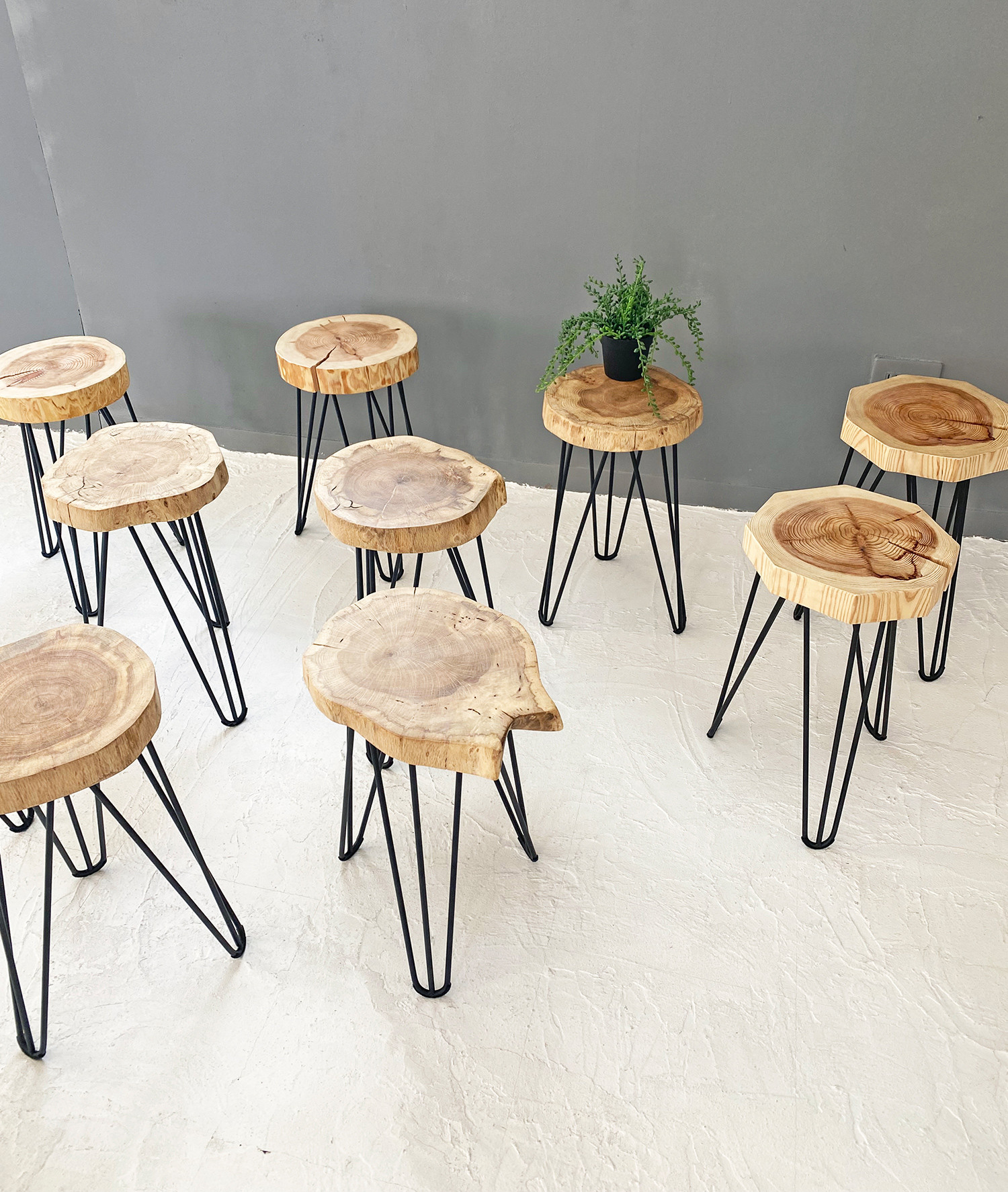 大人気新品 ちゅうまる　国産杉 アイアンレッグのスツール 椅子(チェア)・スツール