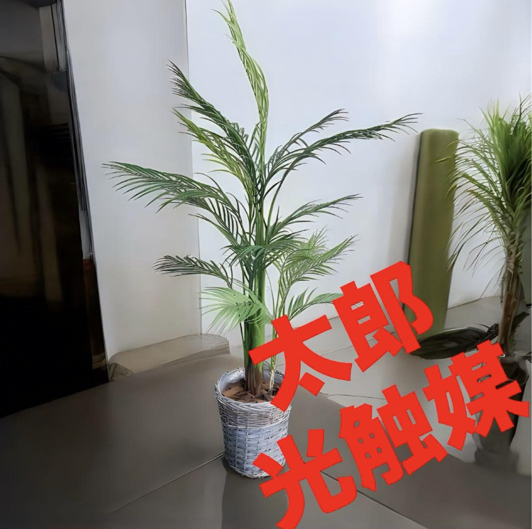 光触媒　人工観葉植物　ウォールグリーン　フェイクグリーン　花器付アレカヤシ147