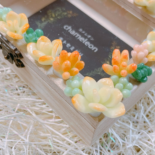 多肉植物の寄せ植え小物入れ（オレンジ） その他ケース