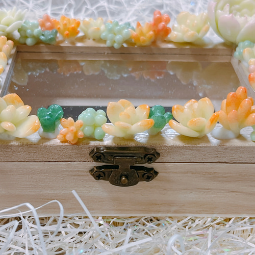 多肉植物　寄せ植え　小物入れ 多肉植物の寄せ植え小物入れ（オレンジ） その他ケース