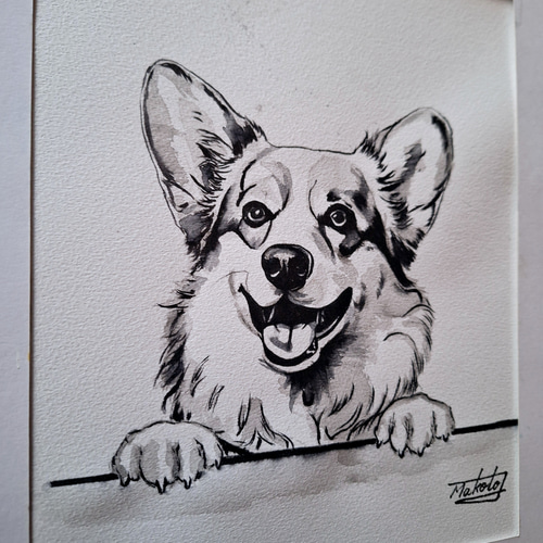 コーギー ウェルシュコーギー 犬 犬の絵 原画 絵画 鉛筆画