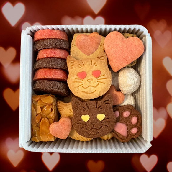 【2025 バレンタイン＆ホワイトデー】仲良し♡猫クッキー缶 1枚目の画像
