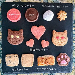 【2025 バレンタイン＆ホワイトデー】仲良し♡猫クッキー缶 2枚目の画像