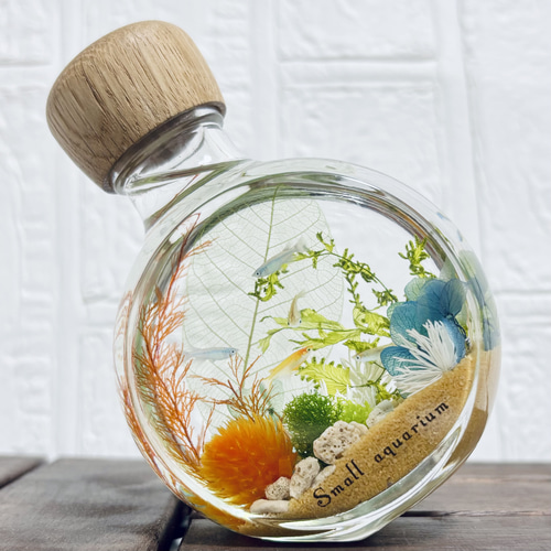 メダカの水槽 ハーバリウム アクアリウム ハーバリウム・植物標本 ++