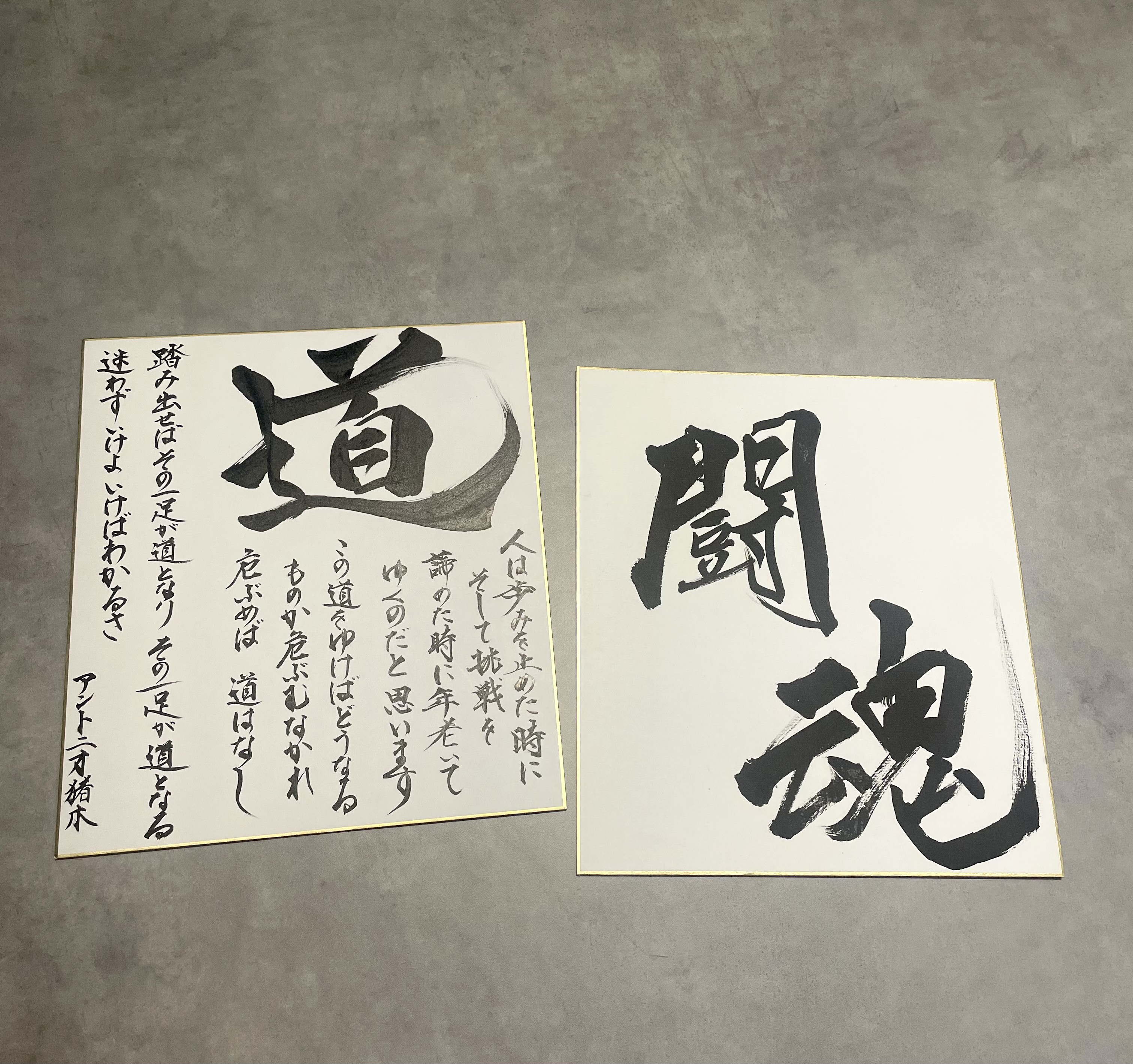 アントニオ猪木　道の色紙(額装) アントニオ猪木 道 色紙2枚セット 書道 書道家 通販 18760824