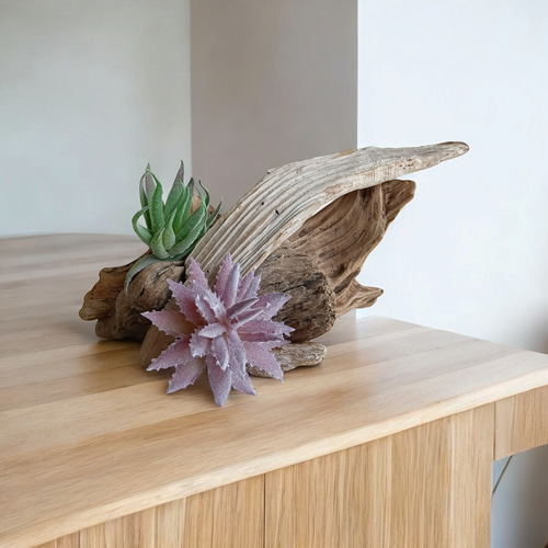 流木アート・オーナメント 爬虫類シェルターにもおススメ(1点物