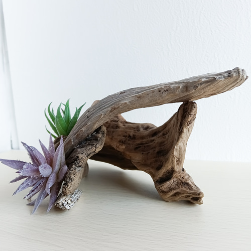 流木アート・オーナメント 爬虫類シェルターにもおススメ(1点物