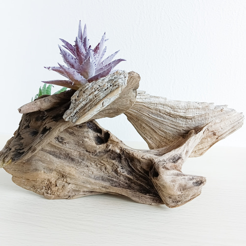 流木　アート　インテリア　置物 流木アート・オーナメント 爬虫類シェルターにもおススメ(1点物