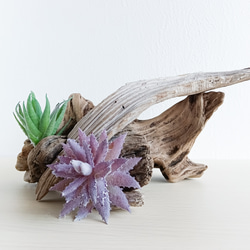 R72特大流木アク抜き済み流木 爬虫類シェルター 登り木 インテリア 生け花 R72特大流木アク抜き済み流木 爬虫類シェルター 登り木