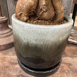  第7張的照片