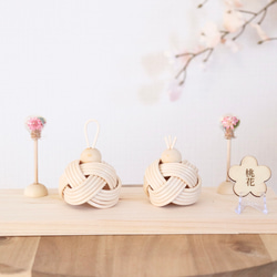 羊毛フェルト ハダカデバネズミ女王 羊毛フェルト ちくpupu. 通販