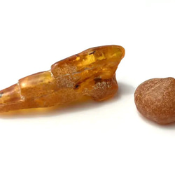 ラトビア琥珀 虫入り琥珀と宝珠のような形の琥珀原石 2個セット＋
