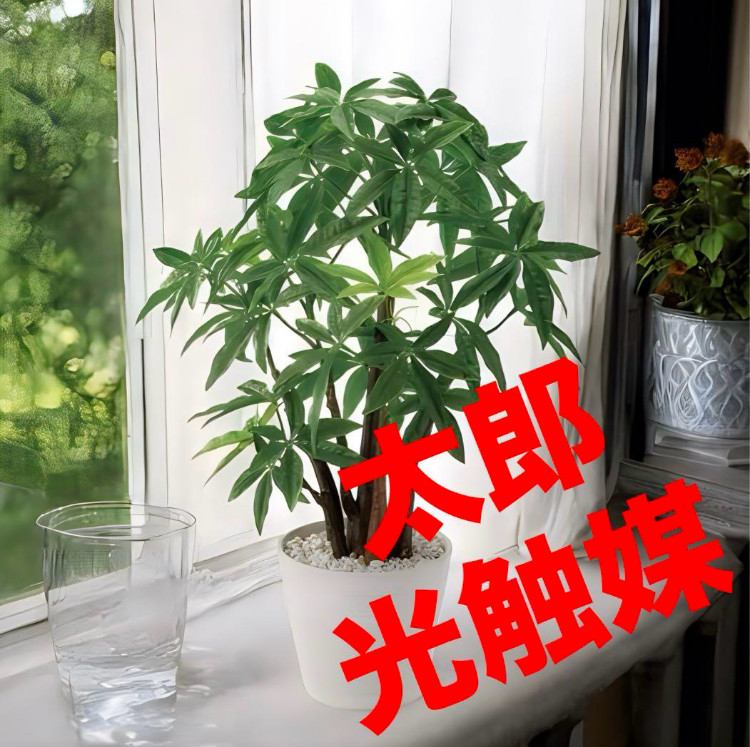 光触媒　人工観葉植物　ウォールグリーン　フェイクグリーン　パキラpt