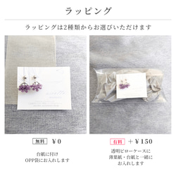 8月 誕生石 ブラックスピネル リング イヤリング / ピアス 痛くない 金属アレルギー対応 落ちない シンプル 天然石 15枚目の画像