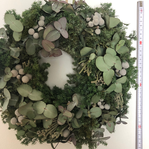 ユーカリとシルバーブルニアのリース ドライフラワー リース