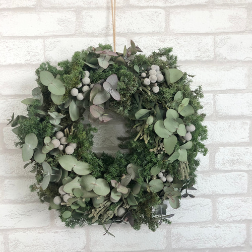 ユーカリとシルバーブルニアのリース ドライフラワー リース