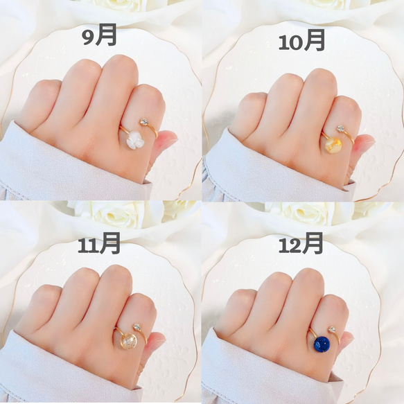 女士誕生石戒指，天然寶石，均碼，家庭戒指，一月誕生石，2026年春季誕生石 第11張的照片