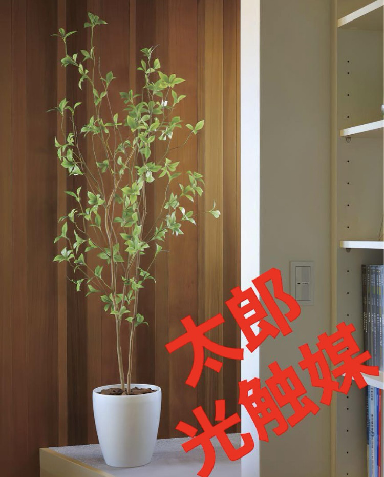 光触媒　人工観葉植物　ウォールグリーン　フェイクグリーン　クロモジ1.6