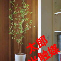 光触媒 人工観葉植物 ウォールグリーン フェイクグリーン オリーブ1.6