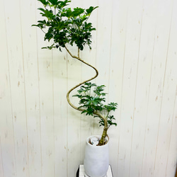 光触媒 人工観葉植物 ウォールグリーン フェイクグリーン パステル