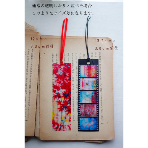 しおりん様　トレカ　10セット しおりん様 トレカ 10セット 商品詳細 | トレカアイテムくじOnline