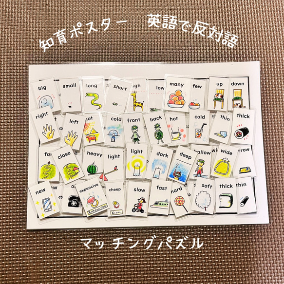 マッチング パズル 知育ポスター 反対語 英語版 おもちゃ・人形