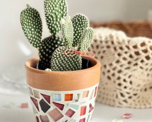 かわいすぎるウサギ耳のサボテン♡／ ピンク ブラウン かわいい 植木鉢