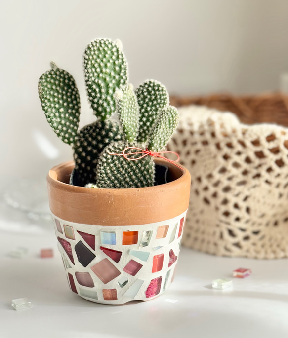 かわいすぎるウサギ耳のサボテン♡／ ピンク ブラウン かわいい 植木鉢