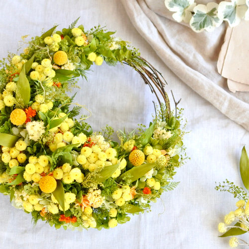 フレッシュミモザ三日月リース