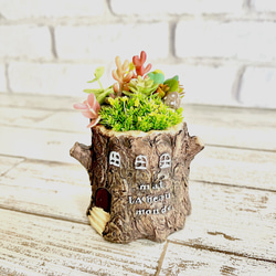 ★ よいこ★クリスマスが待ち遠しいペアクマちゃん★多肉鉢★ガーデン雑貨★ ☆ よいこ様専用☆クリスマスが待ち遠しいペアクマちゃん☆多肉