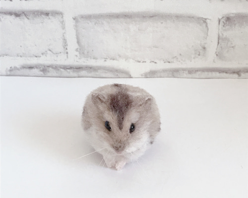 e7468c7bfc925eb52c21600e4b8e13