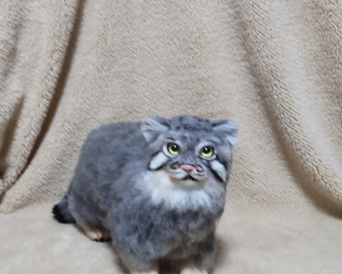 羊毛フェルト　マヌルネコ 羊毛フェルト】マヌルネコ～立ち姿～【観賞用】 羊毛フェルト パステル