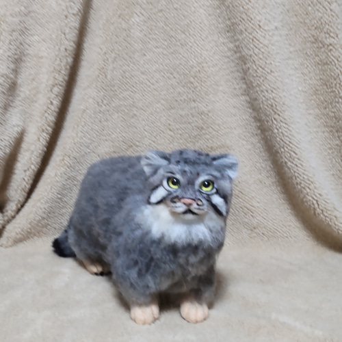 羊毛フェルト　マヌルネコ 羊毛フェルト】マヌルネコ～立ち姿～【観賞用】 羊毛フェルト パステル