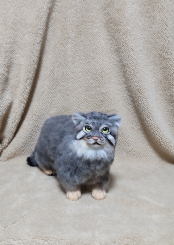 羊毛フェルト　マヌルネコ オーダーメイド☆羊毛フェルトのマヌルネコ エジプト座り