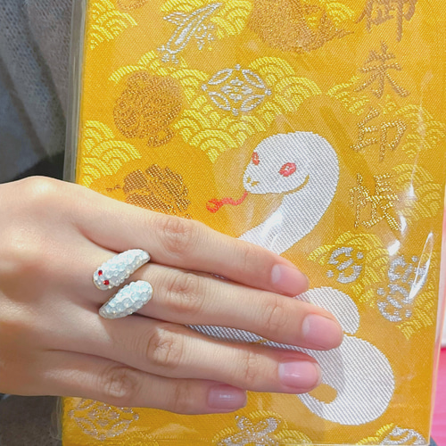 【呪物】金蛇神様の宿る幸運リング※SEREN商品 Amazon | [オーガスト-カイ] メンズ リング 風水 四神獣 青龍