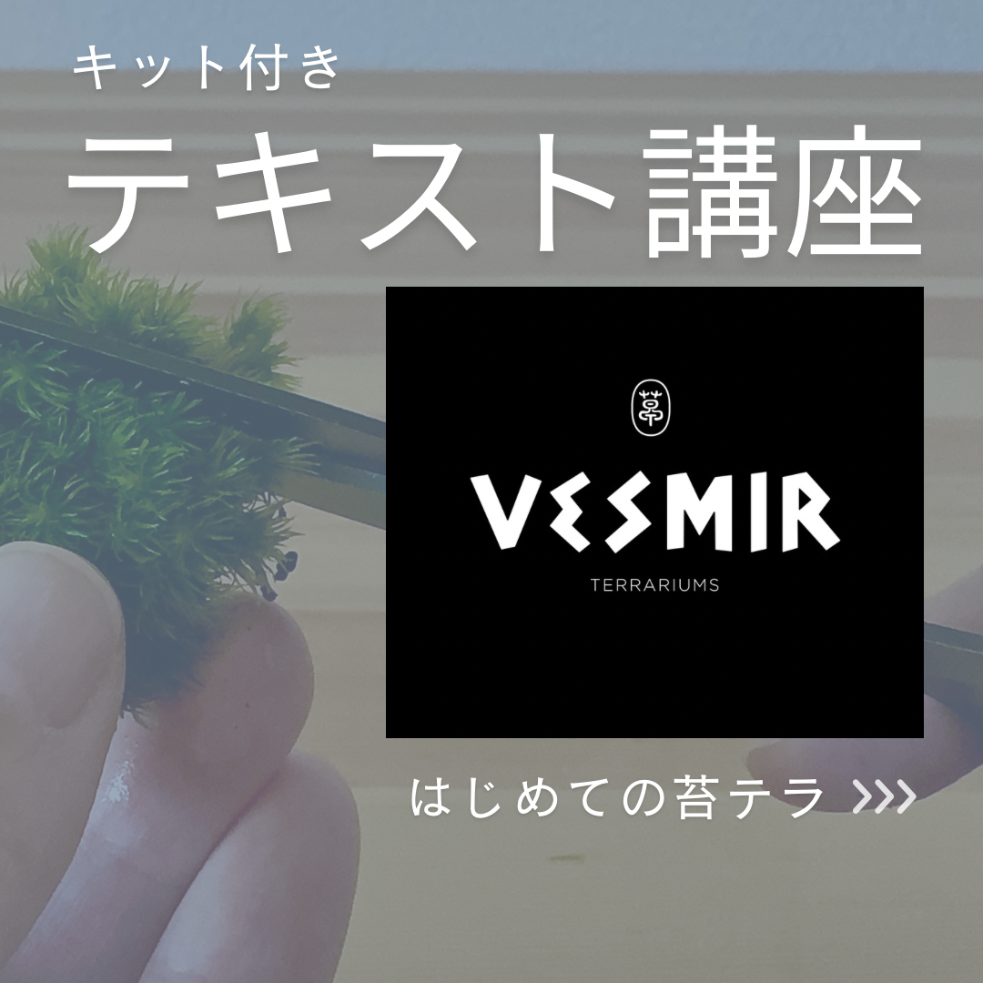［一生ものの知識］何回でも読み返せるテキスト講座テラリウムの作り方(基礎編)キット付き楽しいマイペースで習い事自宅で