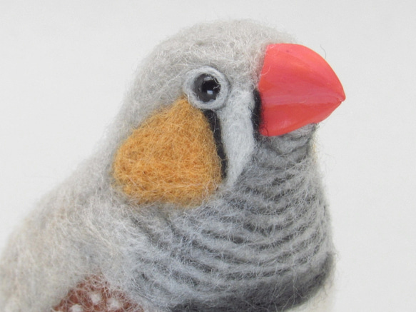本トリ No.115 キンカチョウ ノーマル 7号 / 羊毛フェルト リアル