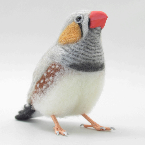 本トリ No.115 キンカチョウ ノーマル 7号 / 羊毛フェルト リアル