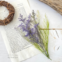 【2025新色】 カスピア　パープル/グリーン　【プリザーブドフラワー】　リモニウム　スターチス 2枚目の画像