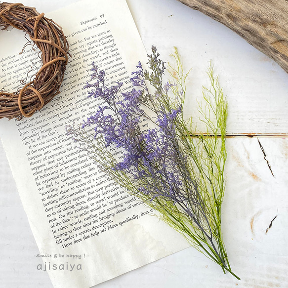 【2025新色】 カスピア　パープル/グリーン　【プリザーブドフラワー】　リモニウム　スターチス 2枚目の画像