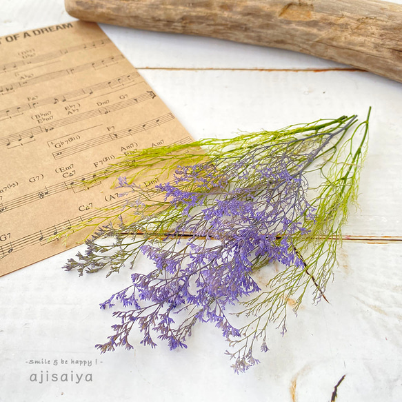 【2025新色】 カスピア　パープル/グリーン　【プリザーブドフラワー】　リモニウム　スターチス 1枚目の画像