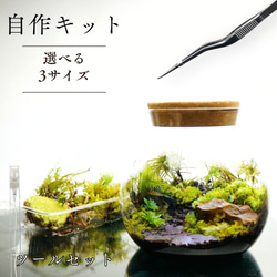 制作キット】【石畳が作れる】LEDライト付ボトルテラリウム プレゼント