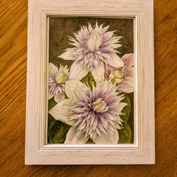 ダリア 絵画 miho 通販 16798877｜Creema(クリーマ)