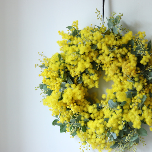 ボリュームたっぷり国産 フレッシュ ミモザのリース 25cm 結婚式 卒業