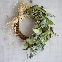 ドライフラワーのハーフリース ドライフラワー HANISCH Wedding 通販