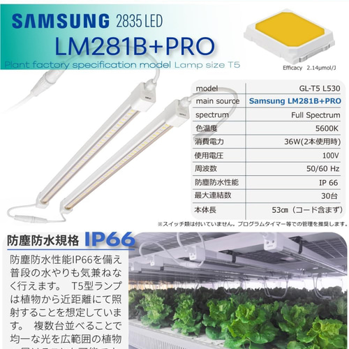 新作！植物育成LEDライトスタンド［オーク］ 一輪挿し・花瓶・花器